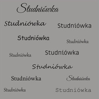 Tła fotograficzne na studniówkę