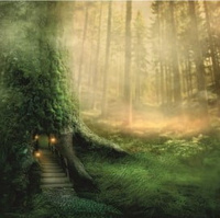 Tła fotograficzne do fotobudki